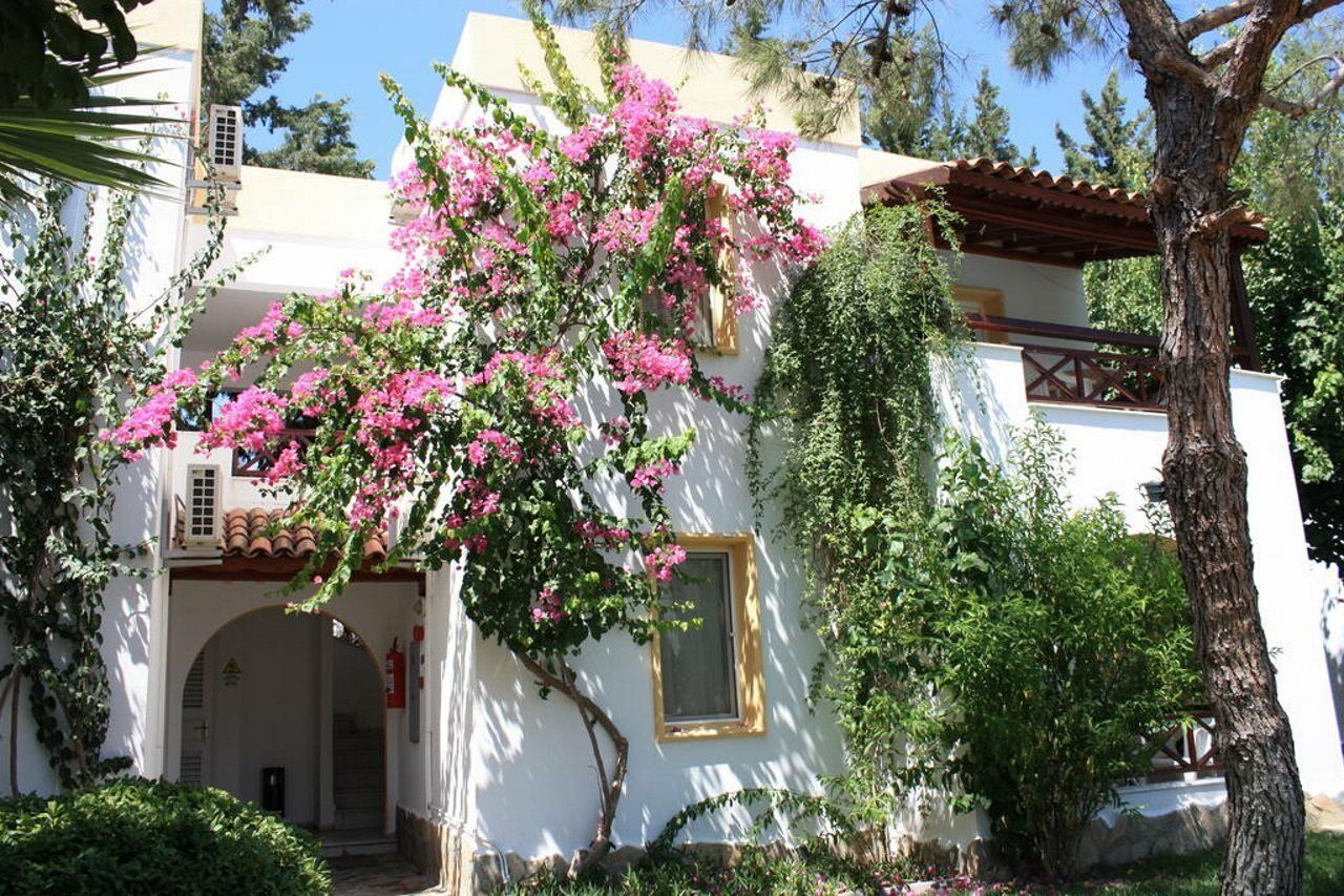 Toloman Bitezpark Apartments Bodrum Zewnętrze zdjęcie